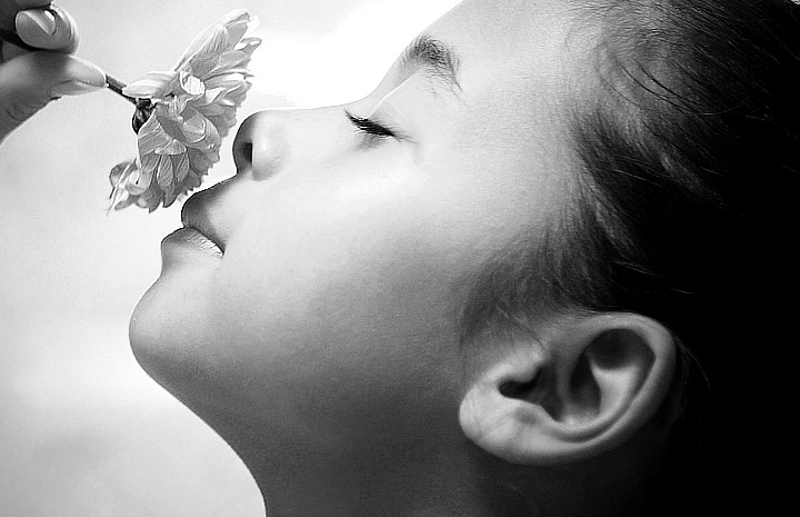 售后保障的在线轰炸机网页版